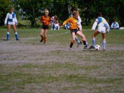 0DIA 1984 RAVA PUPS 1